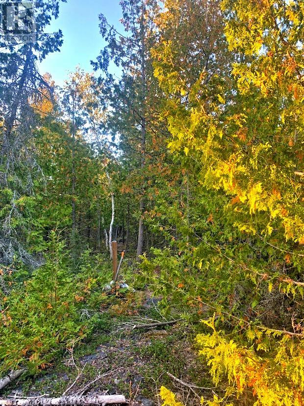 L17C8 Evergreen Drive