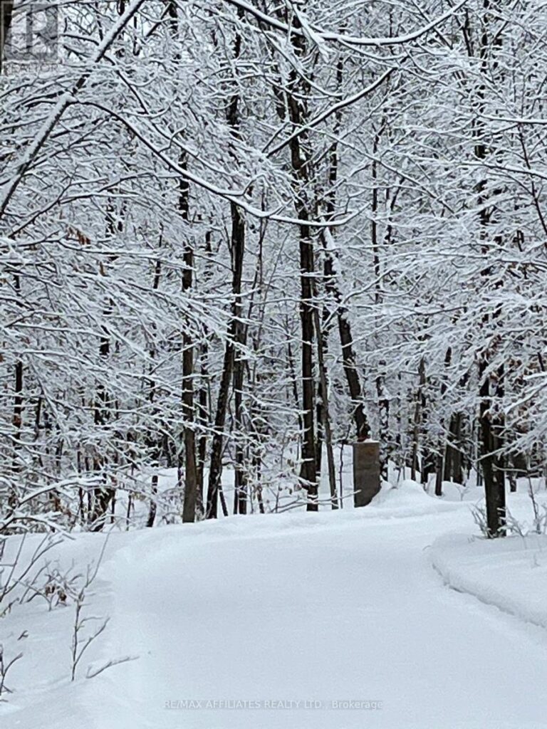 19 West Devil Lk