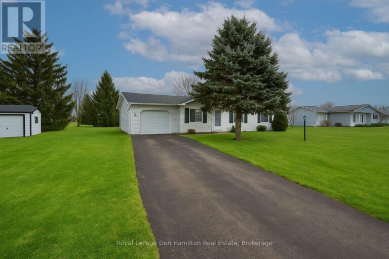101 Meadowview