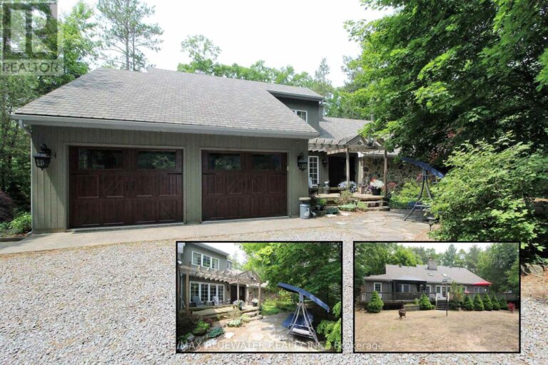 10441 Pinetree
